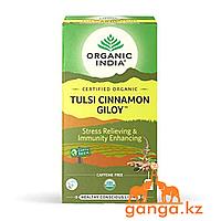 Чай Тулси с Корицей и Гудучи для укрепления иммунитета (Tulsi cinamom giloy ORGANIC INDIA), 25 пакетиков