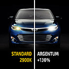 Галогенные автолампы MTF Light серия ARGENTUM +130% H11, 12V, 55W, комп., фото 3