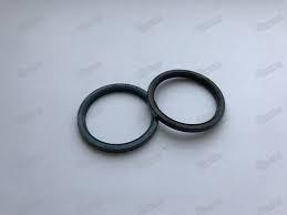 Манжетные уплотнения вала с низкой высотой поперечного сечения G ...