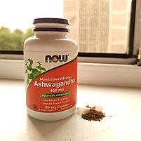 Ашваганда Now Foods 450 мг., стандартизованный экстракт ашвагандхи, фото 2