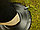 Шатер "Фанза" (4х4м) с москитной сеткой, фото 4