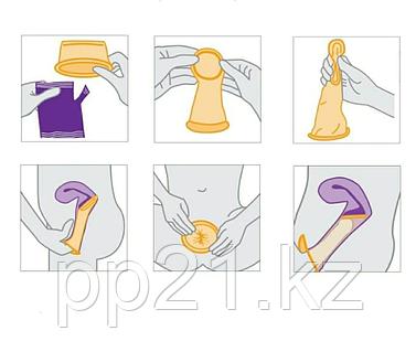 Әйелдер бодибилдер