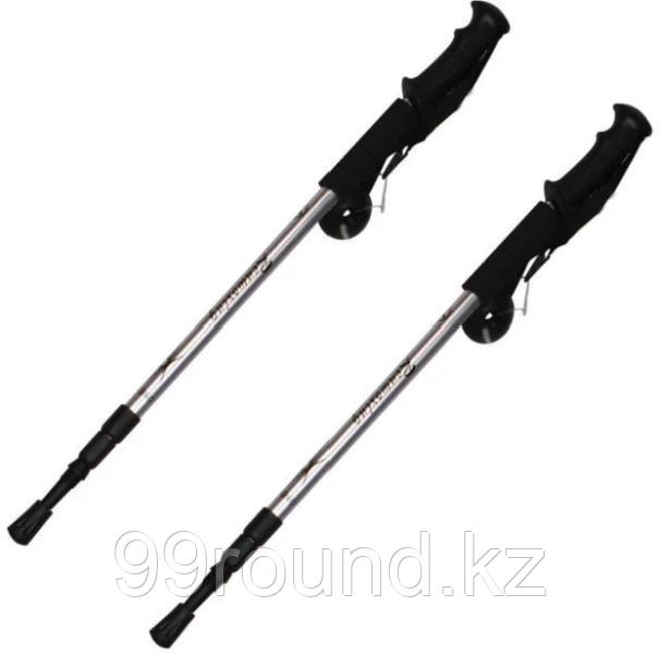 Треккинговые палки ART Fit Scan135 серый 135 см