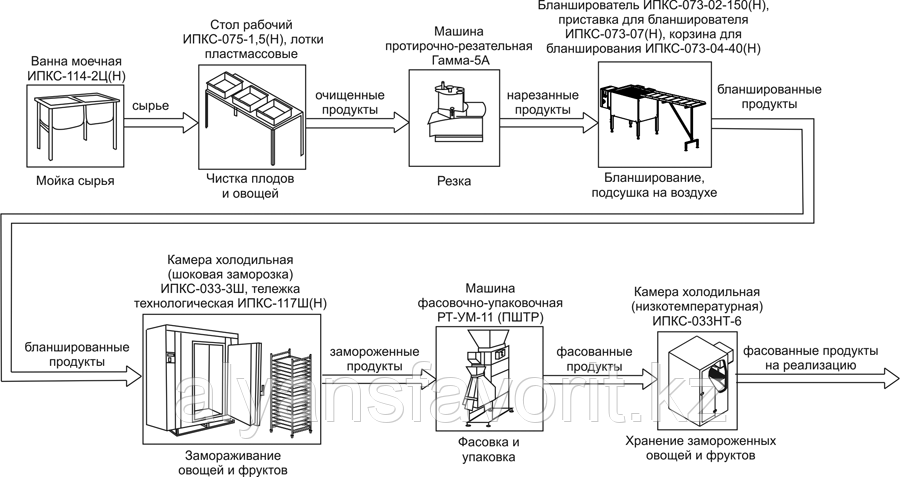 Комплект оборудования для производства быстрозамороженных фруктов и овощей ИПКС-0606, произв. 600 кг/сутки - фото 2 - id-p93065209