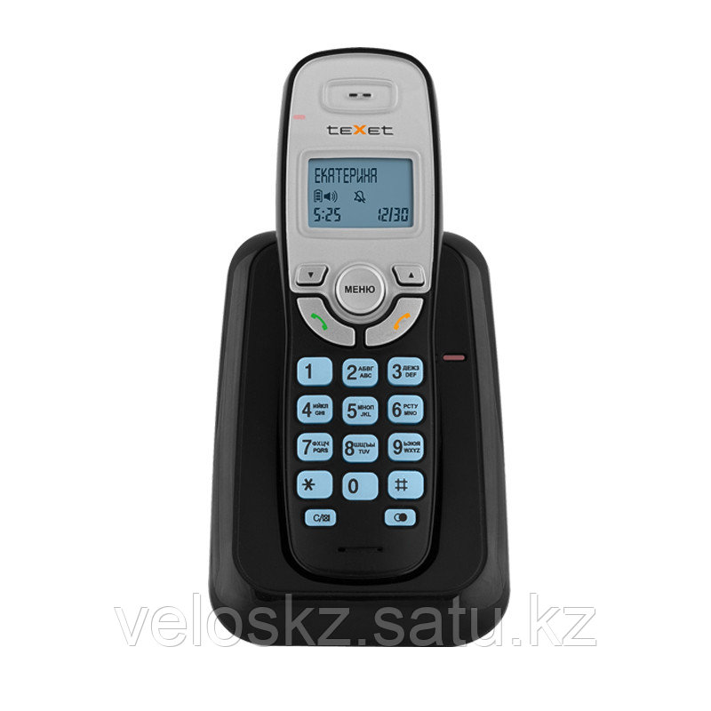Texet Телефон беспроводной Texet TX-D6905А черный