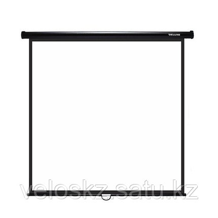 Delux Экран настенный Deluxe DLS-M203x (80"х80") черный, фото 2