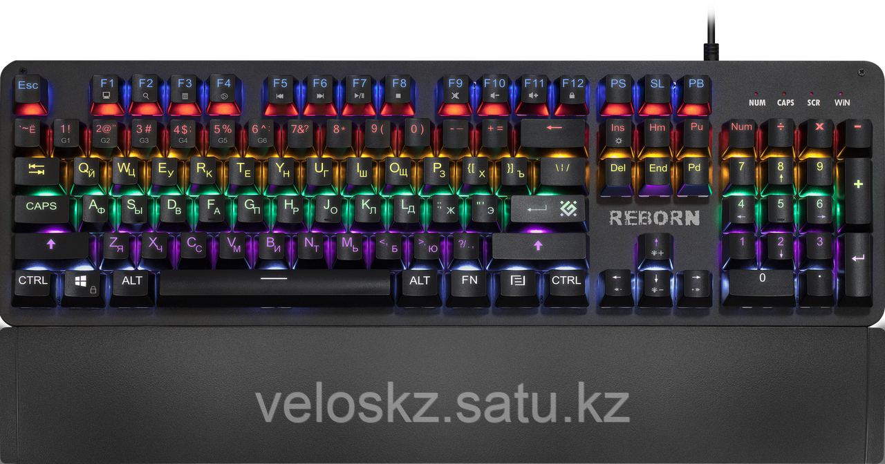 Defender Клавиатура проводная Defender Reborn GK-165DL (Черный), USB, ENG/RU