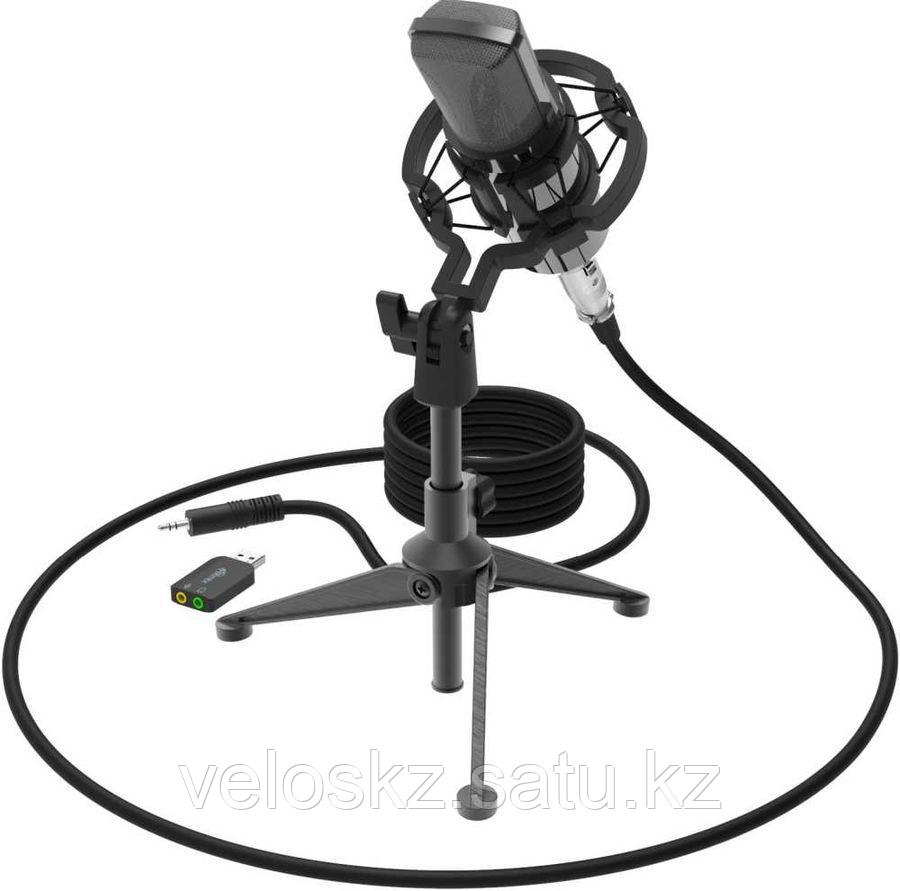 Микрофон RITMIX RDM-160 черный