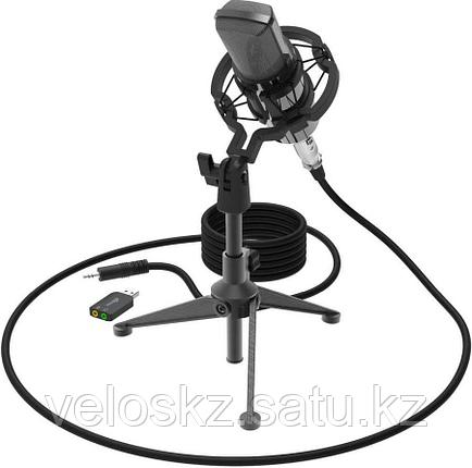 Микрофон RITMIX RDM-160 черный, фото 2