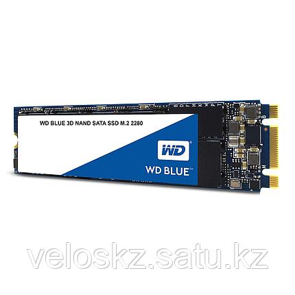 Western Digital (WD) Жесткий диск SSD 250GB WD Blue 3D NAND WDS250G2B0B M2.2280, фото 2
