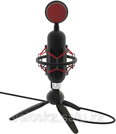 Микрофон RITMIX RDM-230 USB Eloquence черный, фото 2