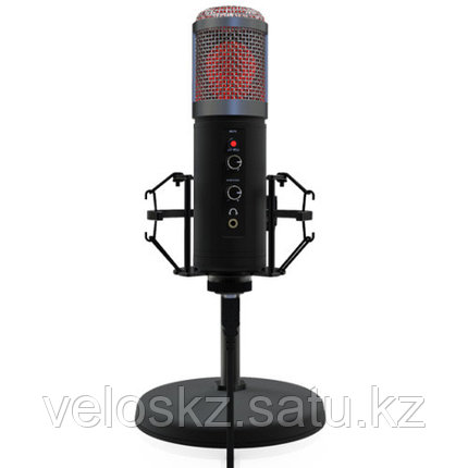 RITMIX Микрофон RITMIX RDM-260 USB Eloquence черный, фото 2