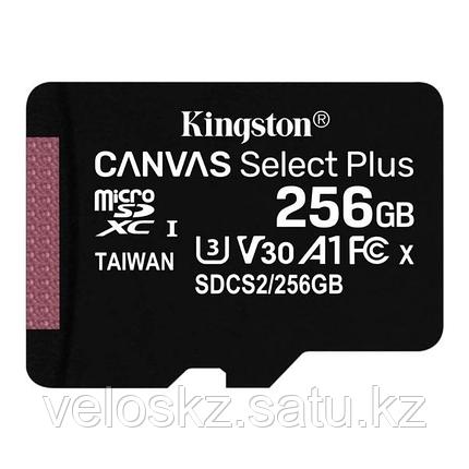 Карта памяти MicroSD 256GB Class 10 UHS-I Kingston SDCS2/256GBSP, фото 2