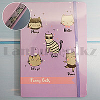 Блокнот в клеточку с Кошками Funny Cats 21 на 14.5 фиолетовый