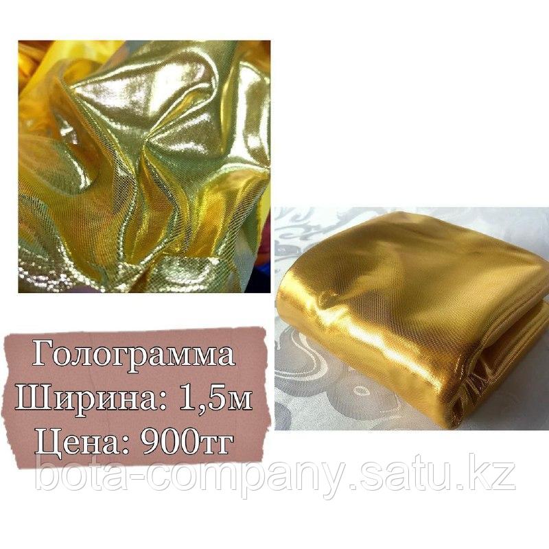 Галограмма