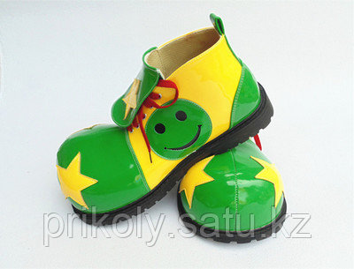 Профессиональная обувь Клоуна - фото 2 - id-p3719905