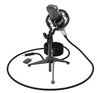 Студийный микрофон Ritmix RDM-160 черный 83917032 Студийный микрофон Ritmix RDM-160 черный