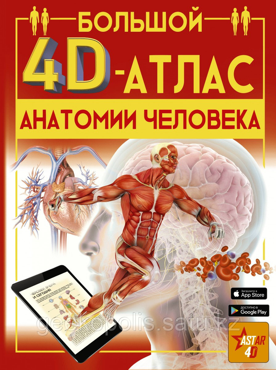 Книга «Большой 4D-атлас анатомии человека», Спектор А.А., Твердый переплет