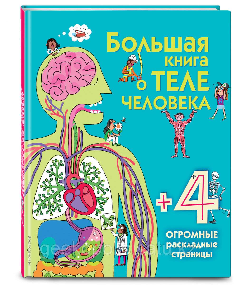 Книга «Большая книга о теле человека» Лейси Минна, Твердый переплет