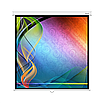 Экран настенный Deluxe DLS-M305W, 1:1, 297x297 см, белый матовый, фото 3