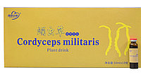 Жидкий кордицепс Cordyceps Militaris Plant Drink натуральный препарат для иммунитета
