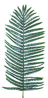 Феникс зеленый Феникс (зеленый), 110x50см.