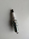 BCP6ES-11, Свеча зажигания NISSAN: MAXIMA, NGK, JAPAN, фото 2