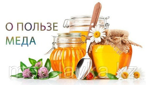 Алтайский мед – полезные свойства продукта