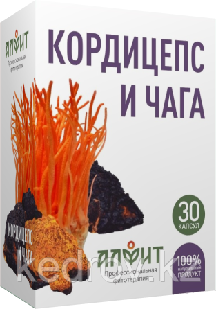 Концентрат на растительном сырье "Кордицепс и чага", 30 капсул по 430 мг.