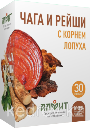 Концентрат на растительном сырье "Чага и Рейши с корнем лопуха", 30 капсул по 400 мг.