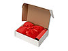 Подарочный набор с пледом, термосом Cozy hygge, красный, фото 2