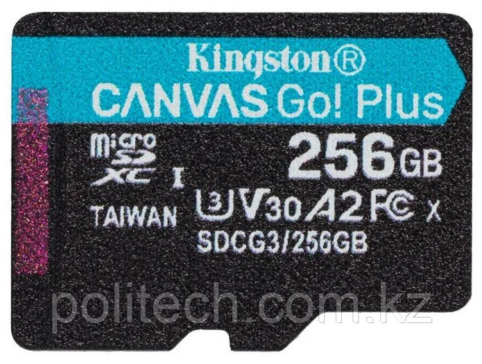 Карта памяти microSDXC Canvas Go Plus, 256 Гб