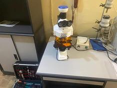 Микроскоп люминессцентный ИПГ 08-2021