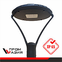 Светильник LED ДТУ PARK 50W 6000Lm d450x523 5000K IP65