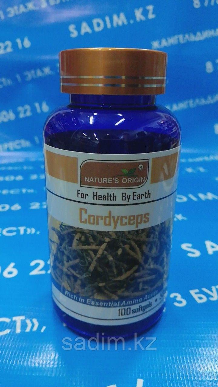 Капсулы - Cordyceps Aweto ( Кордицепс )