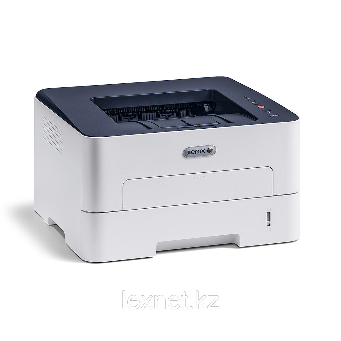 Монохромный принтер Xerox B210DNI - фото 1 - id-p93355787