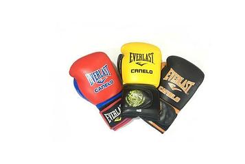 Боксерские перчатки EVERLAST Canelo кожа 12,14,16OZ