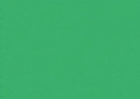 Обложка картон кожа iBind А4/100/230г зеленый (paris green) (WP-8)