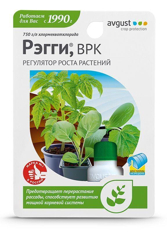 Рэгги 1 мл