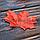 Искусственные листья клена 50 шт темно-красные, фото 5