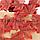 Искусственные листья клена 50 шт темно-красные, фото 6