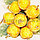 Букетик декоративный ягоды в сахаре желтые, фото 7