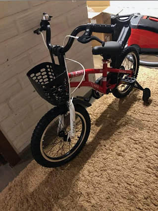 Детский трехколесный велосипед TOMIX " Whirly 16"