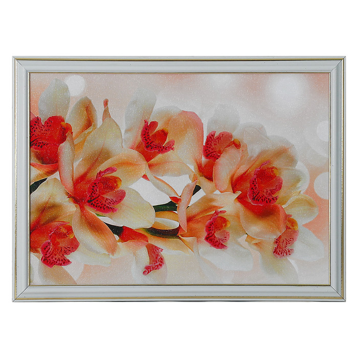 Картина "Красивая орхидея" 28*38 см