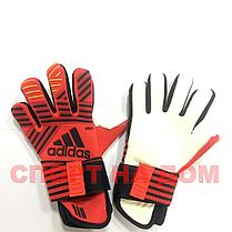 Вратарские перчатки Adidas Predator Pro (реплика), фото 3