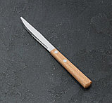 Нож столовый «Эко-стейк», 20 см, фото 2