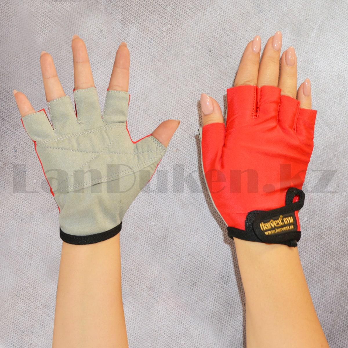 Перчатки для фитнеса и тренажеров, турника Harvest Gym (без пальцев) размер М черно-красные - фото 1 - id-p93559950