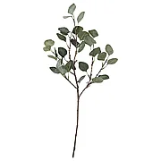 СМИККА Искусственный листок, эвкалипт/зеленый  65 см