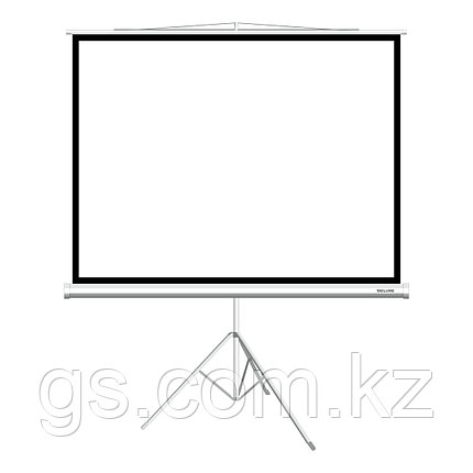 Экран на треноге Deluxe DLS-T153x116W (60"х45"), Ø - 75", Раб. поверхность 149х112 см., 4:3, фото 2
