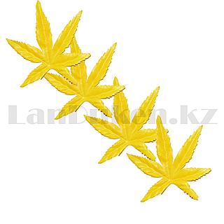 Жақсы кисканың фотосы